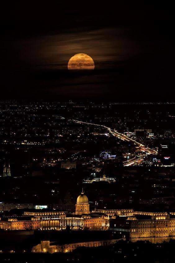 Artemisia Luxury Apartments Jardin Budapest Eksteriør billede